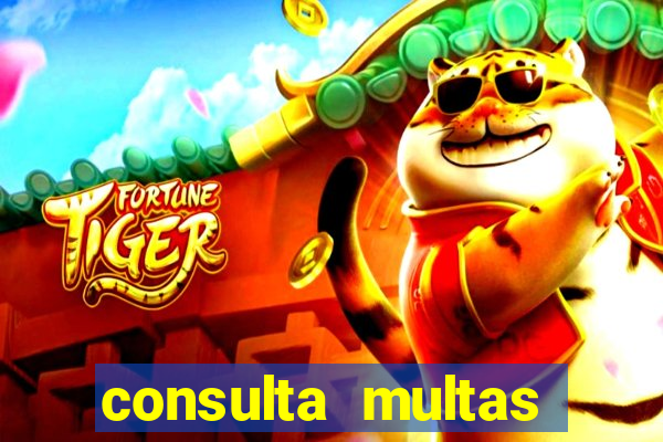 consulta multas detran mg